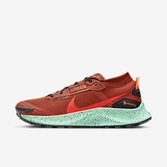 Nike Nike pegasus trail 3 gore-tex offer