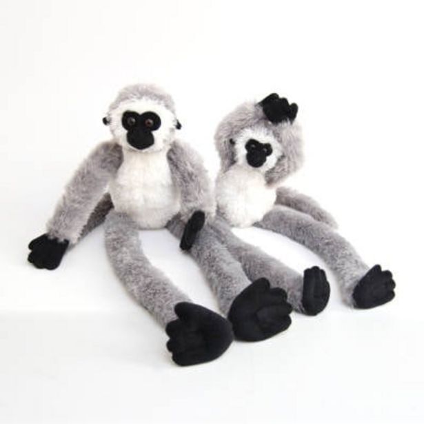Toy Kingdom Born in africa monkey plush offer