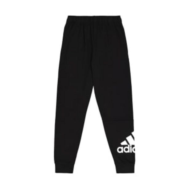 Sportsmans Warehouse Adidas boys big logo fleece sweatpant offer