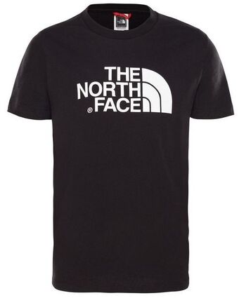 The north face youth s-s easy tee boys