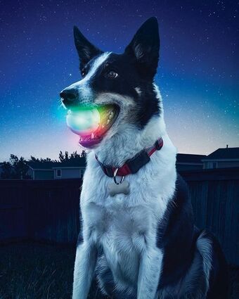 Cape Union Mart Nite ize glowstreak® led ball offer