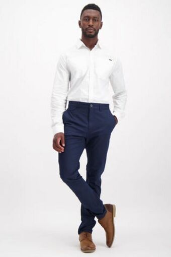 Hamilton chino