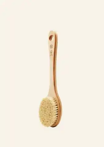 Cactus brush