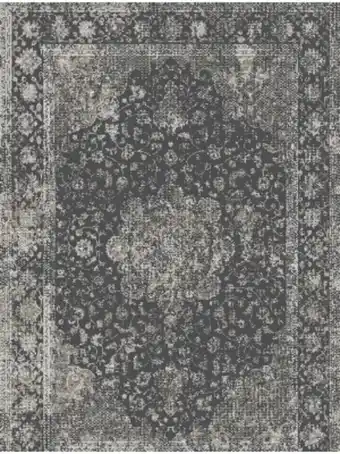 House & Home Silky anthracite 84384 67x110 rug offer