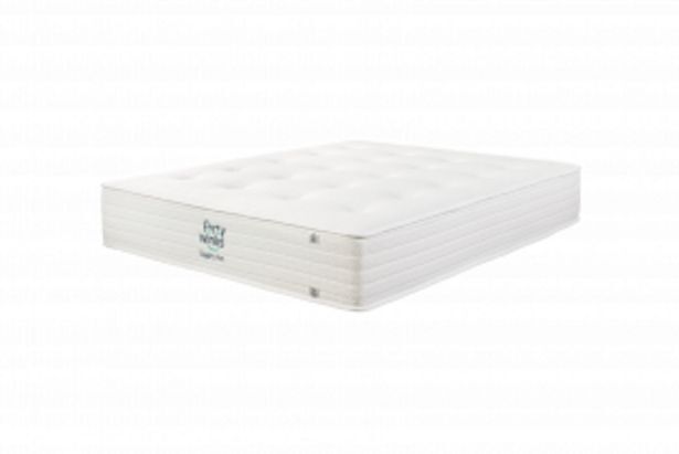 Forty winks sleep pro firm queen mattress standard length offer at Dial ...