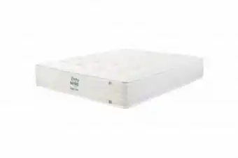 Dial a Bed Forty winks sleep pro firm queen mattress standard length offer