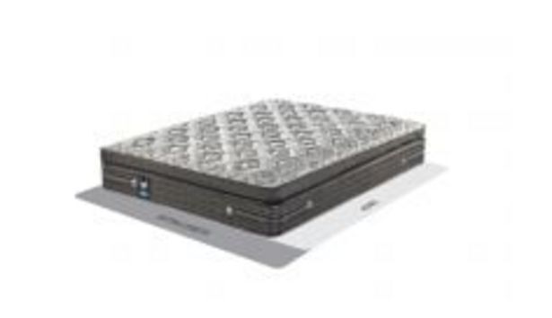 sleepmasters sealy beds