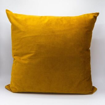 Whitehouse Velvet scatter cushion - clementine offer