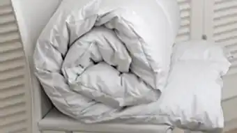 Bed King Comfort solutions goose feather and down duvet inner offer