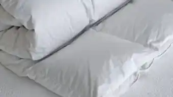 Bed King Comfort solutions duck down duvet inner offer