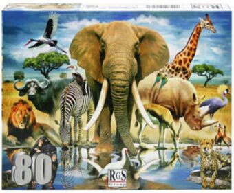 CNA African oasis 80 piece puzzle offer
