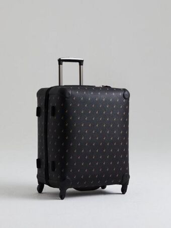Classic small trolley luggage