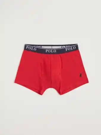Cody boxer