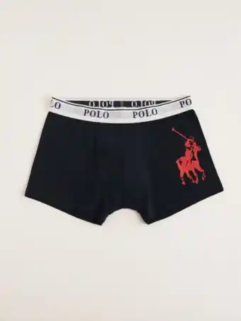 Ellis big pony knit boxer