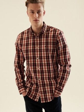 Polo Brook shirt offer
