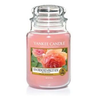 Adams Discount Centre Yankee candle sun-drenched apricot rose lrg offer