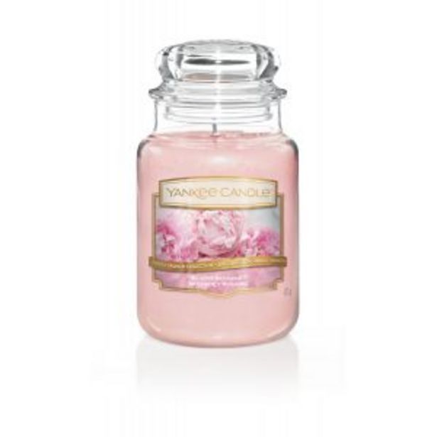 Yankee candle blush bouquet lrg offer at Adams Discount Centre
