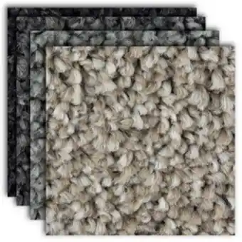Flooring Depot Belgotex mantra m101 carpet offer