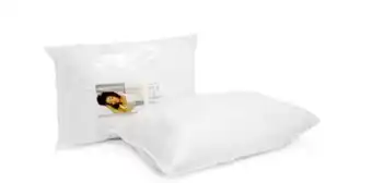 Rochester Sleepmasters 2 pack hollowfibre pillows 45x70cm offer