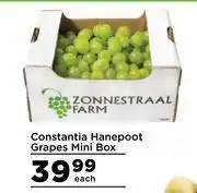 Food Lover's Market Constantia Hanepoot Grapes Mini Box-Each offer