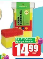 Mr. Big Deal Sponge Scourer 3 Pack-11 x 7 x 3cm offer