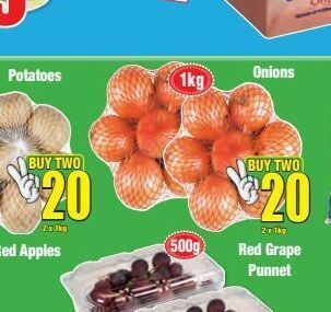 Boxer Onions 2 offer
