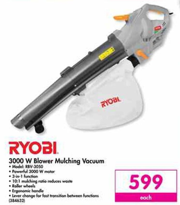 Ryobi Blower Mulching Vacuum 3000w offer at Makro