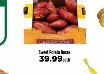 Food Lover's Market Sweet potato offer