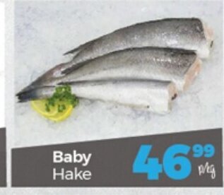 Take 'n Pay Baby Hake offer