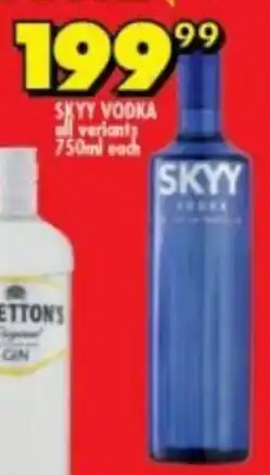 Skyy Vodka 750ml
