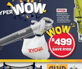 Pick n Pay Hypermarket Ryobi blower offer
