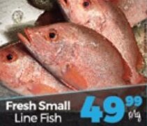 Take 'n Pay Fresh Small Line Fish offer