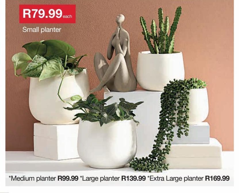 Plants offer at MRP Home