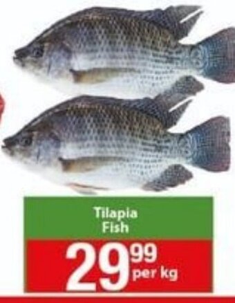 Check Save Tilapia Fish per kg offer