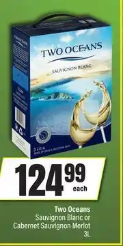 Two Oceans Sauvignon Blanc Or Cabernet Sauvignon Merlot-3Ltr Each