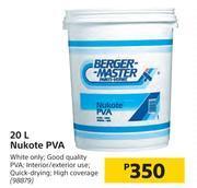 Builders Warehouse Berger Master 20Ltr Nukote PVA offer