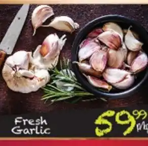 Take 'n Pay Fresh Garlic offer