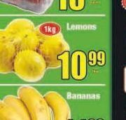 Boxer Lemons offer