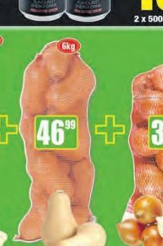 Boxer Butternut offer