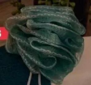 Shower sponges
