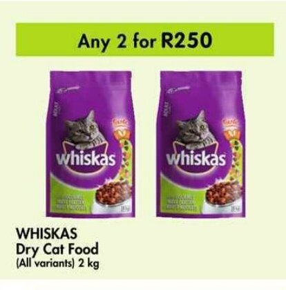 hermit crab cage petsmart