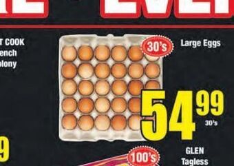 Boxer Eggs offer