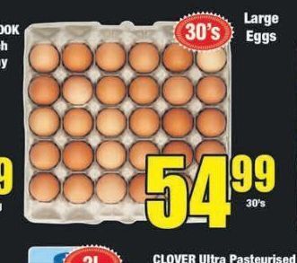 Boxer Eggs offer