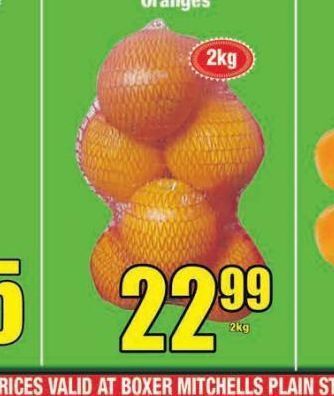 Boxer Oranges offer