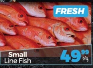 Take 'n Pay Small Line Fish offer