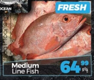 Take 'n Pay Medium Line Fish offer