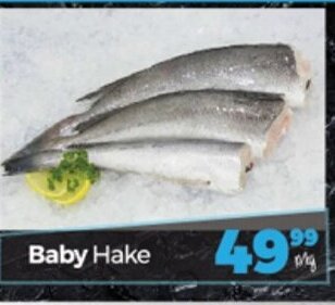 Take 'n Pay Baby Hake offer