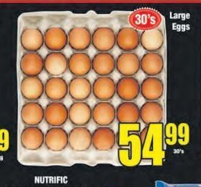 Boxer Large eggs offer