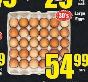 Boxer Large eggs offer