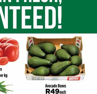 Food Lover's Market Avocado offer